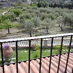 Lorto Degli Ulivi Stilo