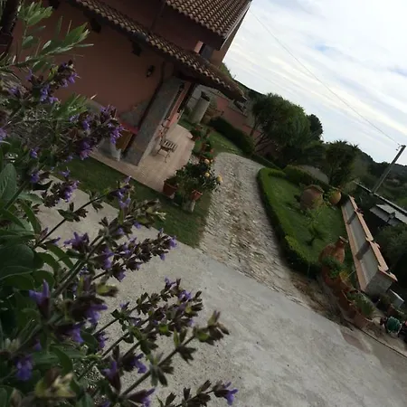 Lorto Degli Ulivi 3* Stilo