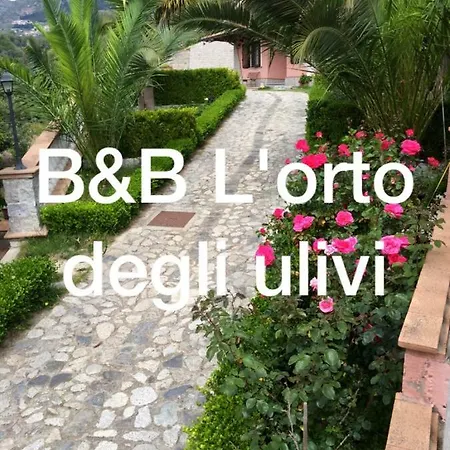 Lorto Degli Ulivi Bed & Breakfast