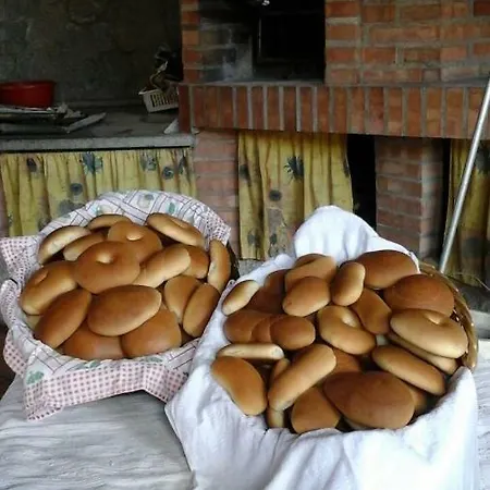 Lorto Degli Ulivi 3* Stilo