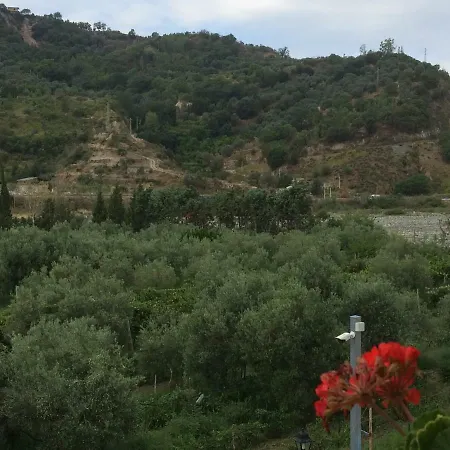 Bed & Breakfast Lorto Degli Ulivi