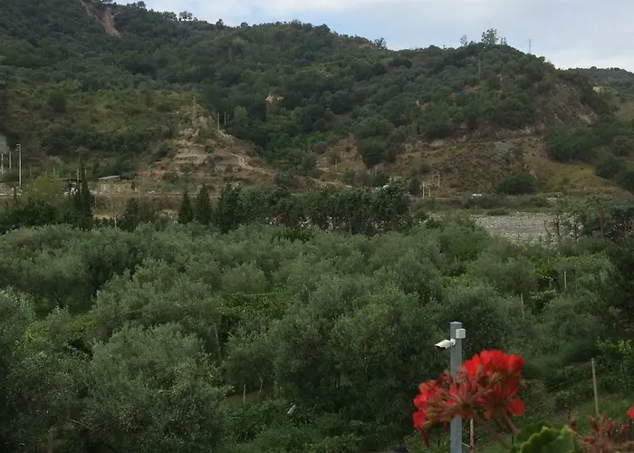 ベッド・アンド・ブレックファスト Lorto Degli Ulivi